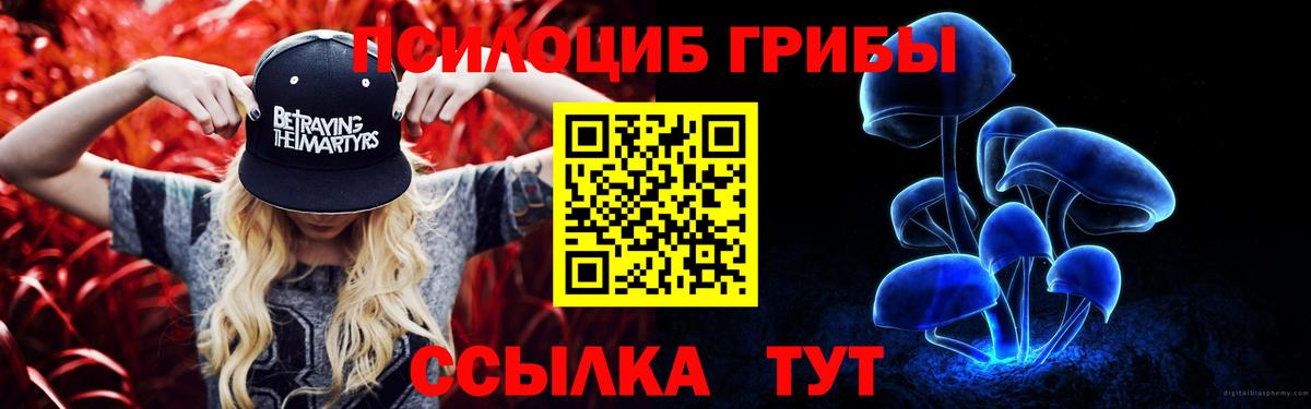 Железногорск  Галлюциногенные грибы Cubensis  Вход с VPN 